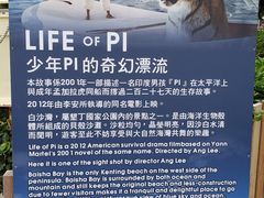 -白沙湾海滩