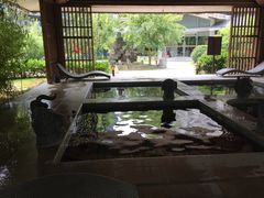 -中家鑫园温泉酒店鑫悦汤泉