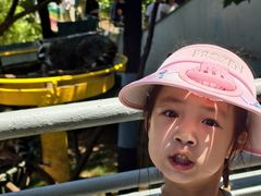 -西霞口神雕山野生动物世界