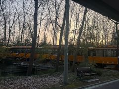 -合肥滨湖国家森林公园