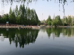 -环城公园-琥珀潭