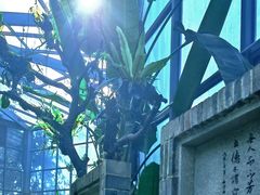 -东莞植物园