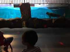 -常州海昌海洋探索馆