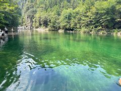 -石台牯牛降景区