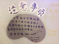 -平行世界·猫咖(首经贸店)