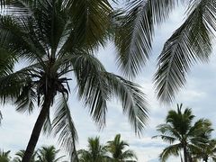 -三亚西岛海洋文化旅游区