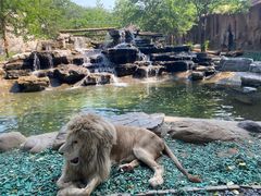 -北京野生动物园