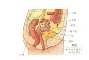 -邢台妇产医院