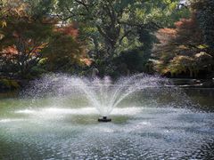 -杭州植物园