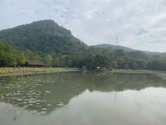 -八卦田遗址公园