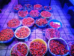 -五里多农博广场