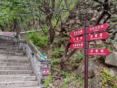 -妙峰山风景名胜区