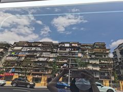 -光明港公园