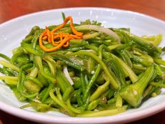 清炒水性杨花-老滇山寨•云南特色菜•地方菜•民族风情歌舞表演(金碧店)