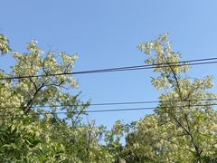 -贮水山儿童公园