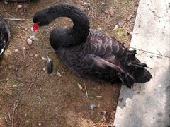 -艾溪湖湿地公园