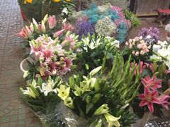 -长宁东道花卉宠物市场