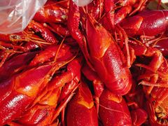 -冶建镜子·老南昌大排档·江西虾王(总店)