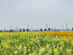 -中国天府农业博览园