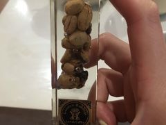 -巴厘岛黄金金兔咖啡工厂