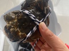 -七的湖·晚芳亭·阳澄湖农家菜·大闸蟹(莲花岛店)