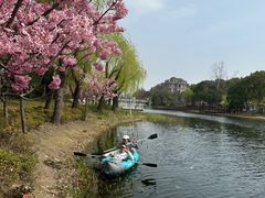 -新江湾城公园
