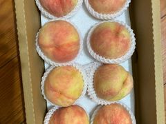 -南汇水蜜桃采摘(大团店)