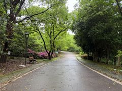 -南京市江宁方山
