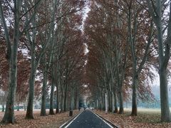 -河南省黄河迎宾馆