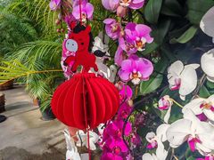 -北京植物园-展览温室