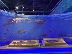 -浙江自然博物院(杭州馆)
