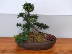 -厦门市图书馆(集美新城馆区)