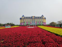 -百万葵园