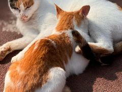 -敬亭山风景名胜区