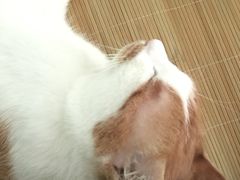 -宠颐生动物医院·小陆分院