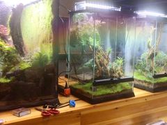 -趣陶陶艺手工坊(新世界百货重庆店)