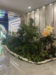 点击看大图 -LIHER北京丽合医疗美容医院