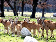 -西安秦岭野生动物园
