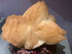 -湖南省地质博物馆