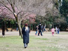 -三鹰之森吉卜力美术馆