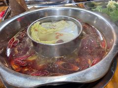 -金鼎雪山牦牛杂火锅(理县总店)