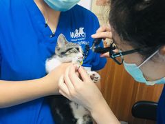 -宠福鑫动物医院·动物疾病诊疗中心(天通苑店)