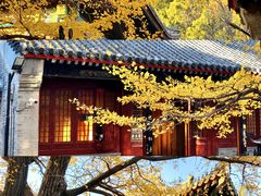 -沉浸北京·团建旅行·密室剧本杀·年会会议轰趴拓展