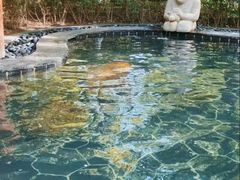 -盘锦红海温泉乐园