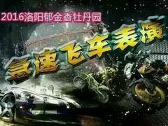 -洛阳郁金香牡丹园