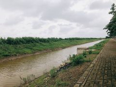 -南汇嘴观海公园