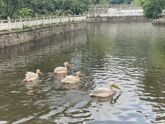 -黔灵山公园