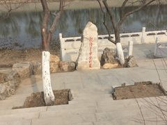 -桃花堤公园