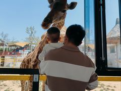 -西霞口神雕山野生动物世界