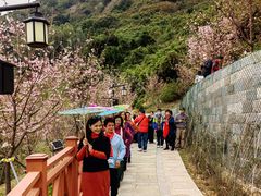 -小南山公园